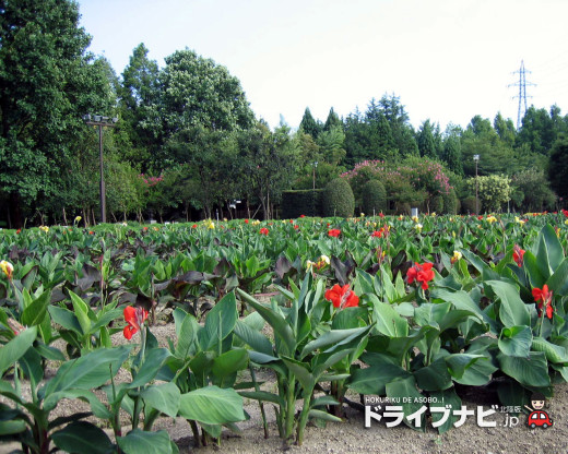 46484 (a): :1280x1024